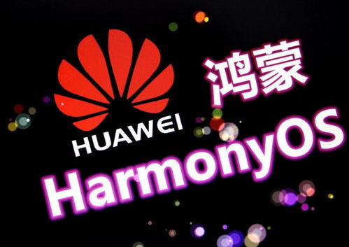 华为P50最新细节确定，鸿蒙也有新消息，幸福来得真突然
